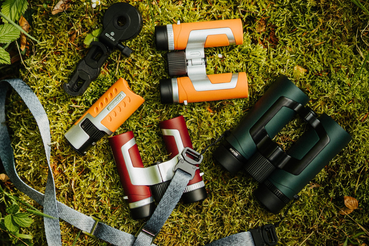 Best Travel Binoculars for Every Adventure